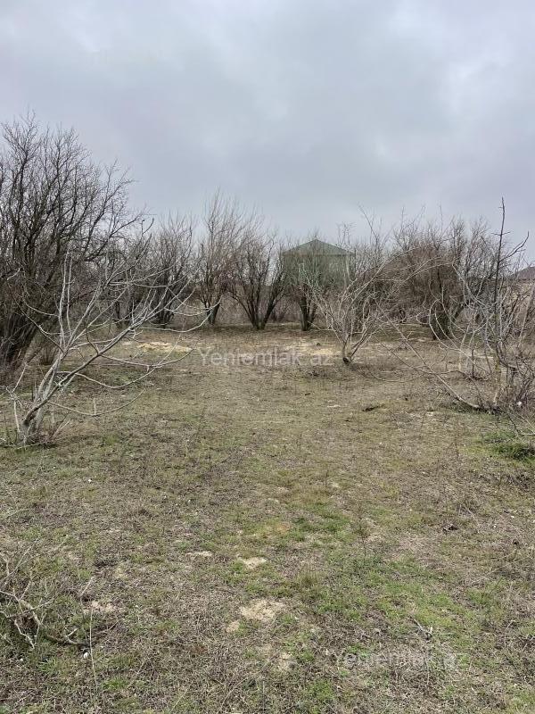 For sale: land, 20 sot — Torpaq, Sumqayıt (7)