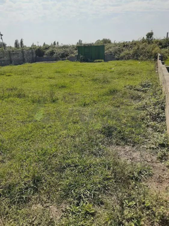 Satılık arsa, 6 sot — Torpaq, Astara (3)