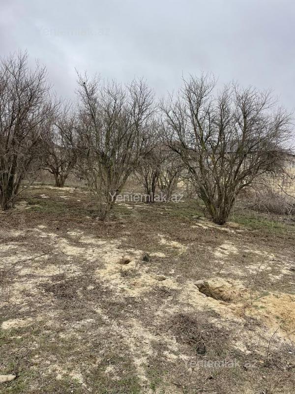 For sale: land, 20 sot — Torpaq, Sumqayıt (9)