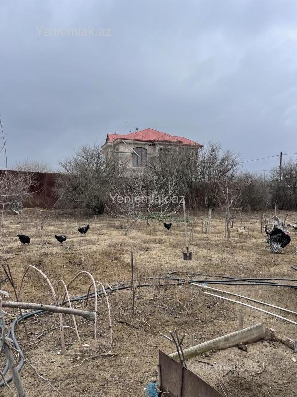 For sale: land, 12 sot — Torpaq, Sumqayıt (6)