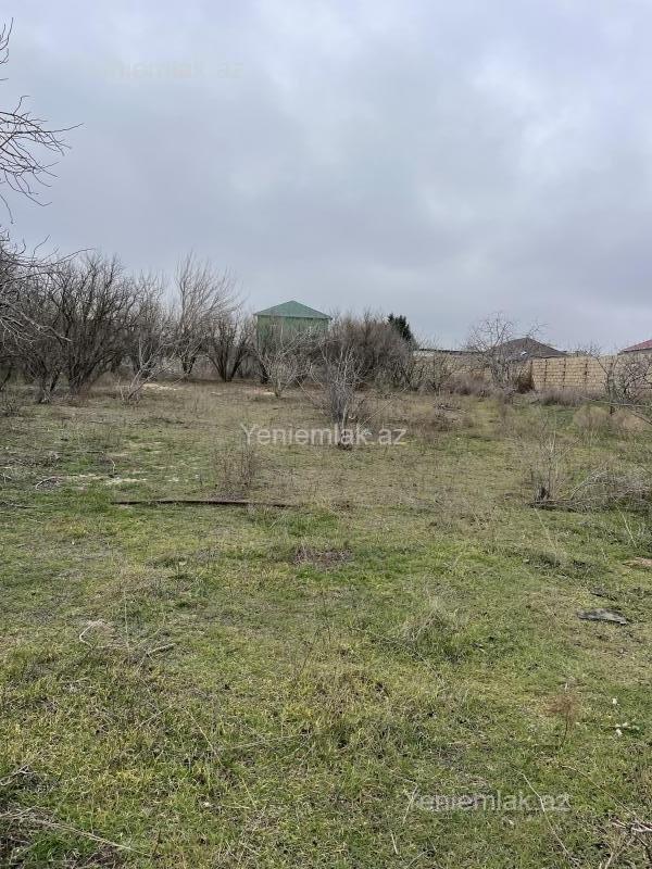 For sale: land, 20 sot — Torpaq, Sumqayıt (5)