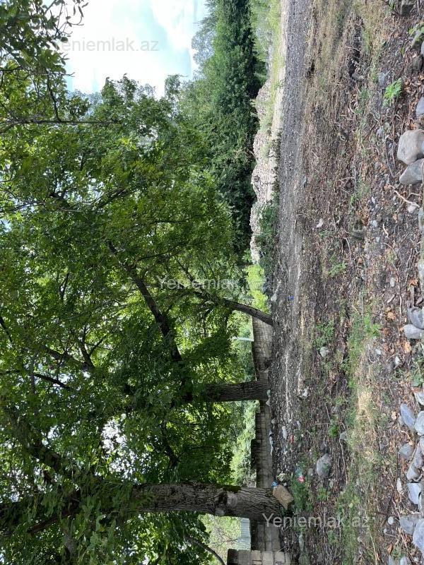 For sale: land, 6 sot — Torpaq, Qəbələ (9)