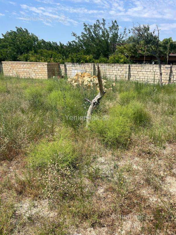 For sale: land, 12 sot — Torpaq, Sumqayıt (2)