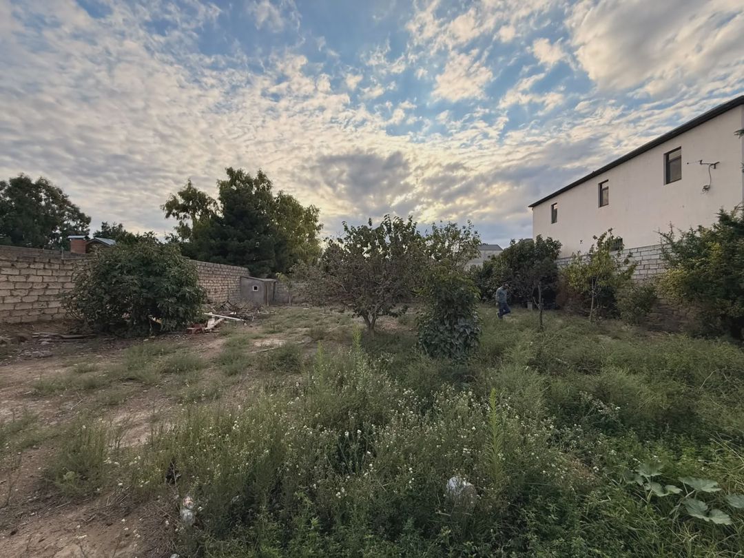 Satılık arsa, 8 sot — Torpaq, Bakı (8)