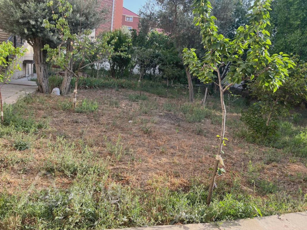 Satılık arsa, 13 sot — Torpaq, Bakı (4)