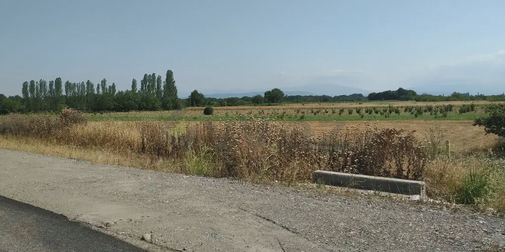 For sale: land, 116 sot — Torpaq, Xaçmaz (8)