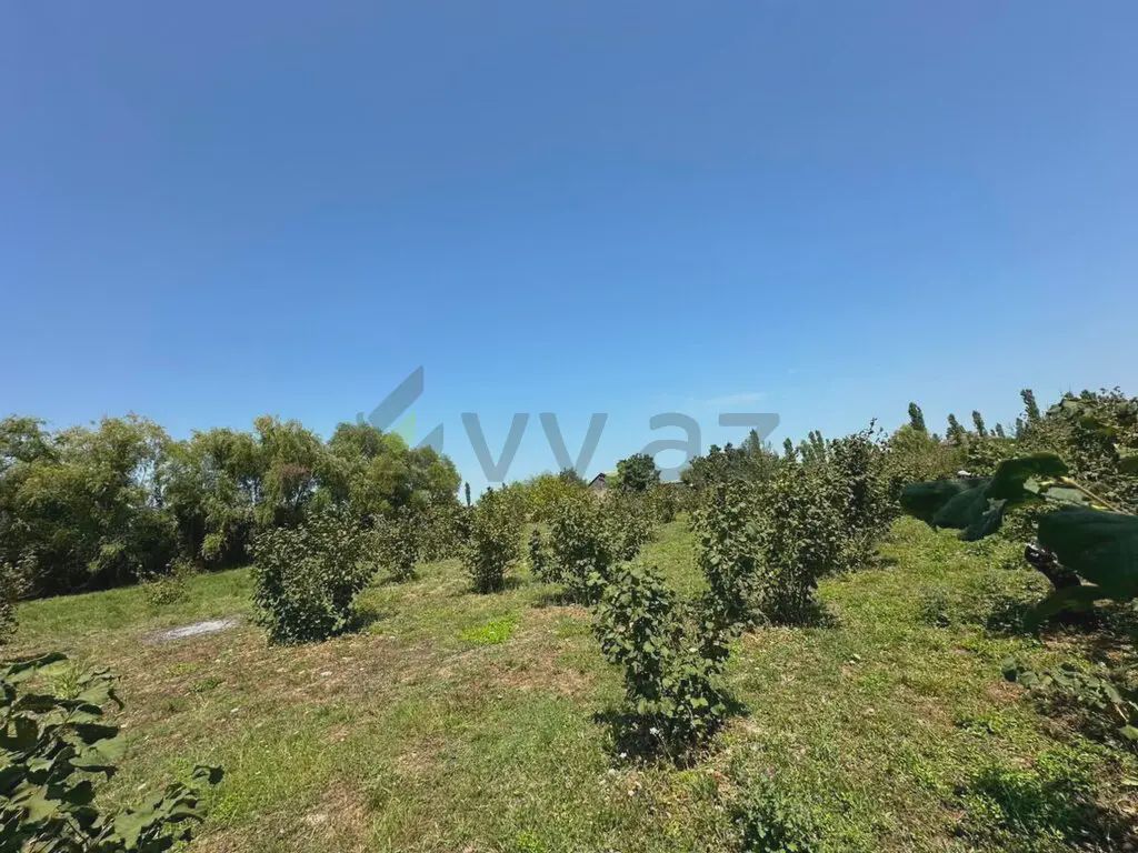 Продаётся участок, 20 сот. — Torpaq, Xaçmaz (4)
