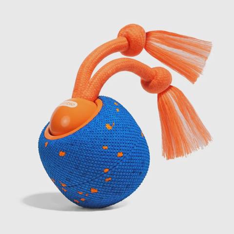 İtlər üçün oyuncaq top Cheerble Rolly Royal, Blue (CWQ07) — 74.99 ₼ · Баку · Oyuncaqlar və tırnaq araları İtlər üçün oyuncaq top Cheerble Rolly Royal, Blue (CWQ07) — Баку
