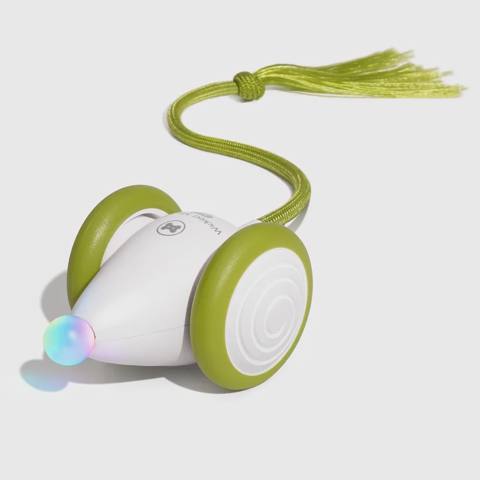 Pişiklər üçün oyuncaq Cheerble Wicked Mouse Neo, Green (CWJ03) — 49.99 ₼ · Баку · Oyuncaqlar və tırnaq araları Pişiklər üçün oyuncaq Cheerble Wicked Mouse Neo, Green (CWJ03) — Баку