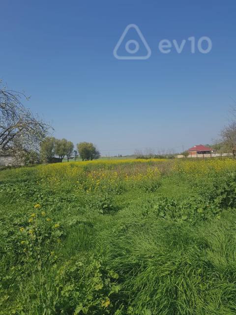 5 otaqlı həyət evi, 251 m², Masallı rayonu — Masally