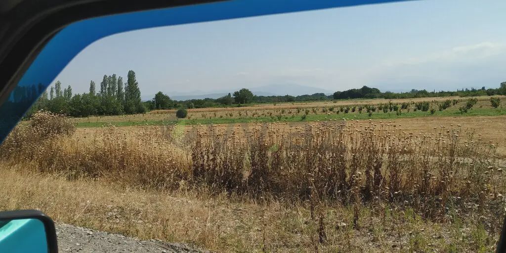 For sale: land, 116 sot — Torpaq, Xaçmaz (9)