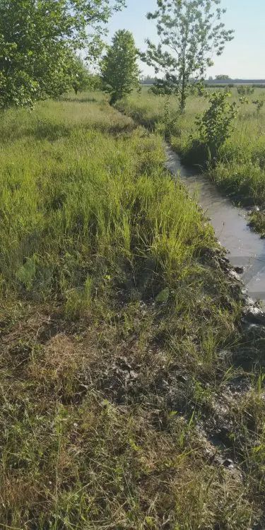 For sale: land, 116 sot — Torpaq, Xaçmaz (10)