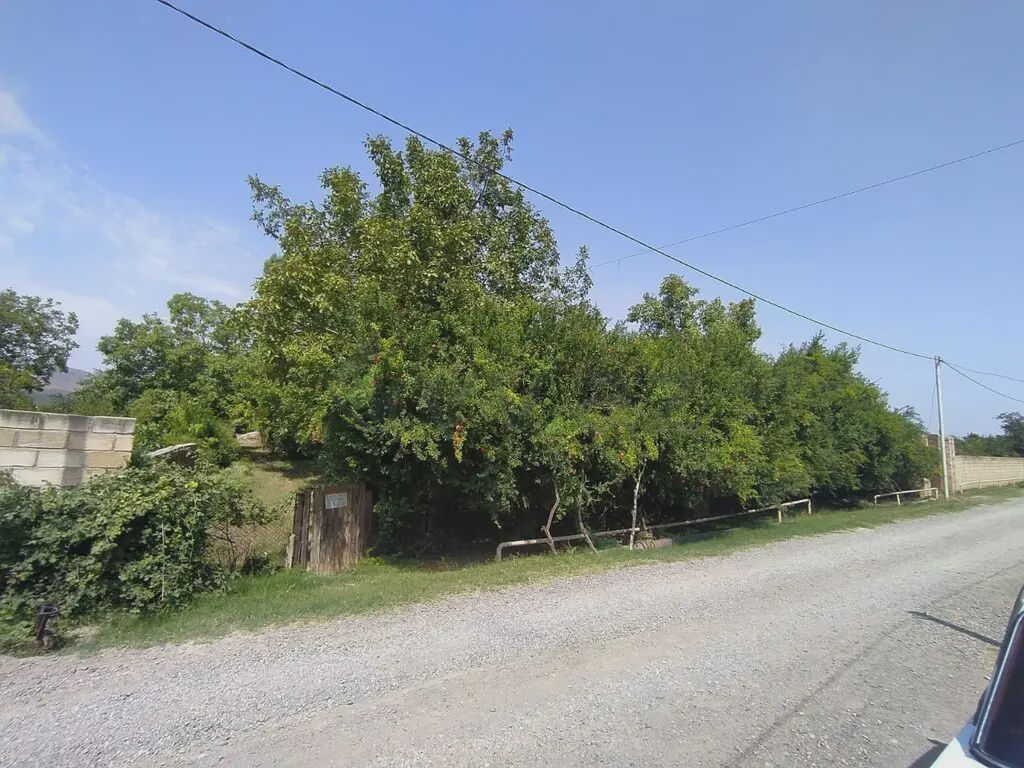 12 sot Torpaq Satılır, Göygöl — Torpaq, Göygöl (3)