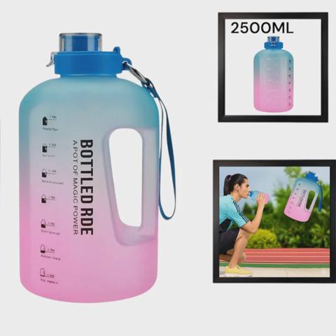 İdman su qabı WS1279, mavi-çəhrayı, 2500 ml — Баку