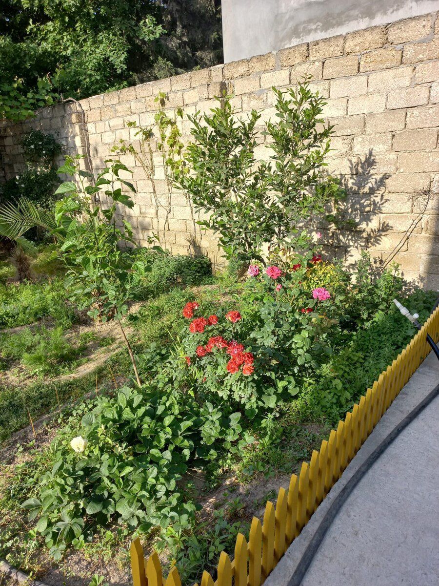 Həyət evi, Binə qəs. — Daşınmaz əmlak, Bakı (7)