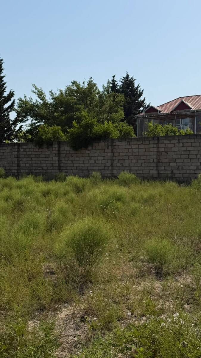 Satılır torpaq 3.6 sot — Torpaq, Bakı (11)