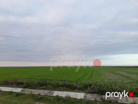 540 sot torpaq sahəsi, Şabran r.
