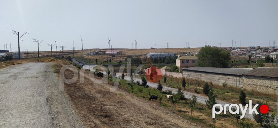 Satılır torpaq 350 sot — Torpaq, Bakı (5)
