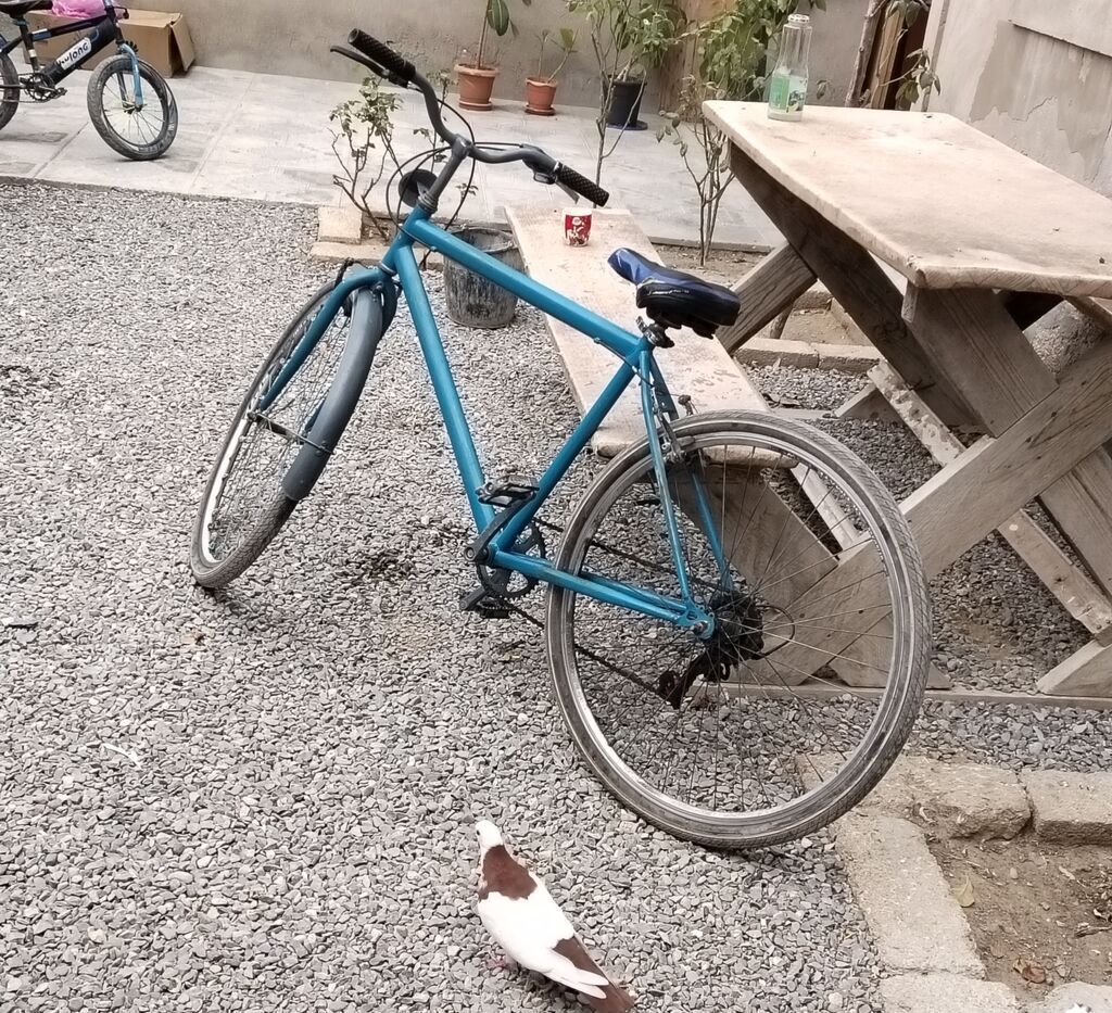 Velosiped 29'luqdur, heç bir problem yoxdur, arxa skorus islek — Velosipedlər, Bakı (3)