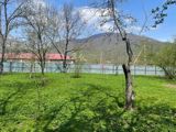10 sot torpaq sahəsi, Qəbələ ş. — Land plot