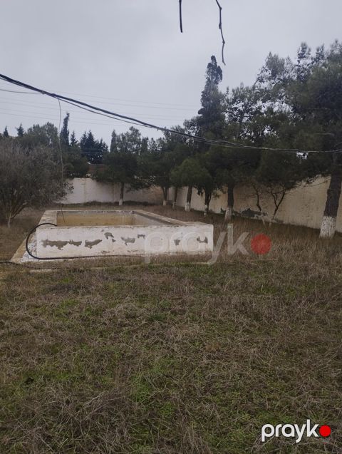 Satılır torpaq 14.5 sot
