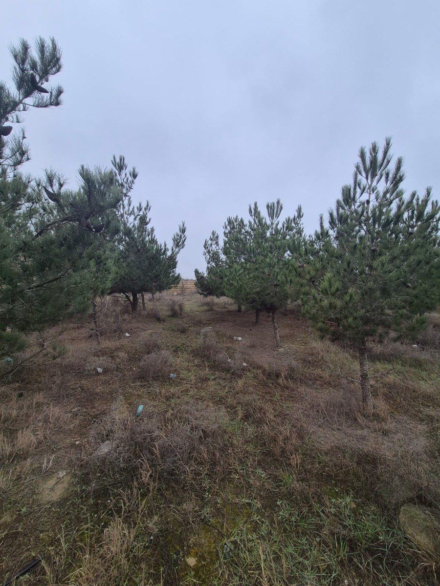 5.6 sot torpaq sahəsi, Masazır qəs. — Torpaq, Bakı (5)