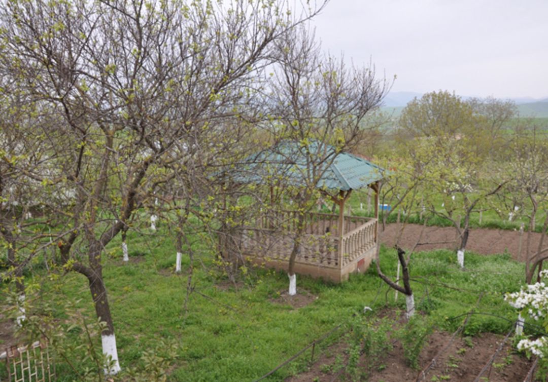 Bağ evi, Şamaxı r. — Daşınmaz əmlak, Şamaxı (9)