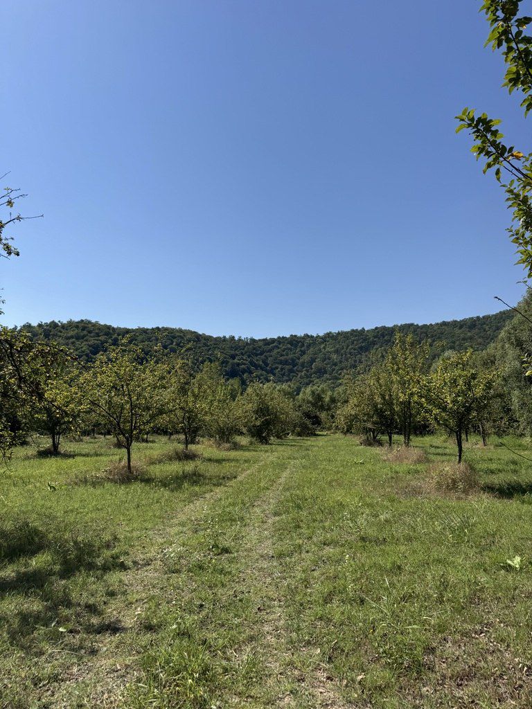 Satılır torpaq 105 sot — Torpaq, Qəbələ (5)