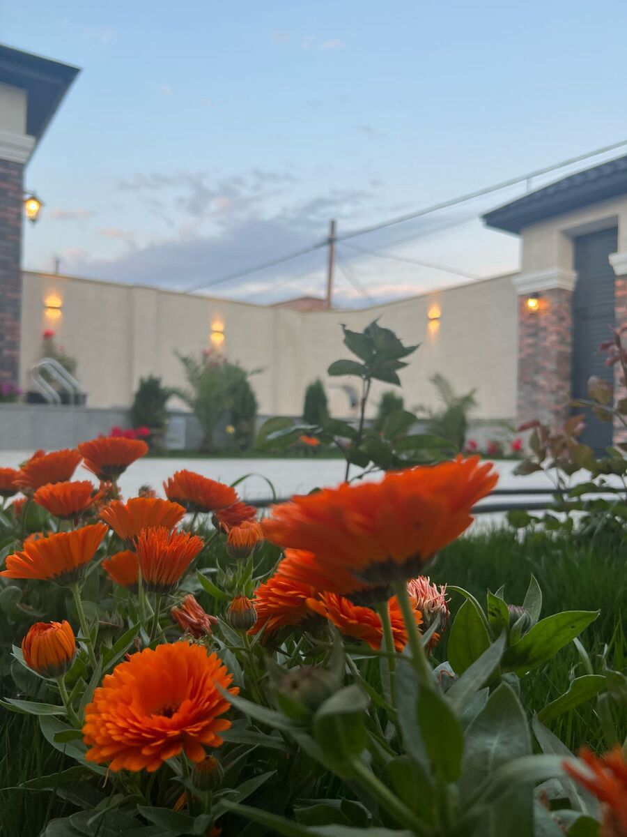 Satılır 4 otaqlı həyət evi/bağ evi 250 m² — Ev, villa, Bakı (12)