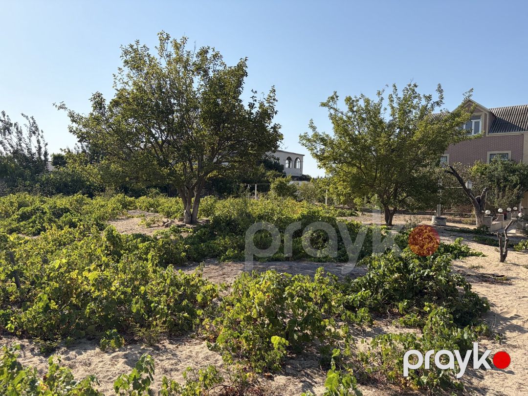 Satılır torpaq 28 sot — Torpaq, Bakı (2)