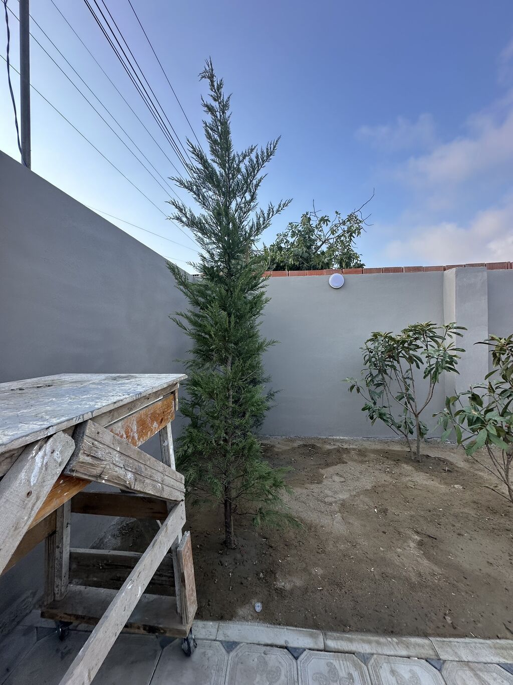 Saray, 115 kv. m, 3 otaqlı, Hovuzsuz, Kombi, Qaz, Su — Daşınmaz əmlak, Saray (6)
