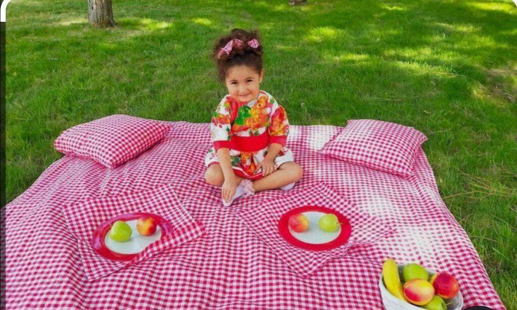 Piknik dəsti – qırmızı-ağ dama naxışlı - Geniş piknik yorğanı — Tekstil, Masazır