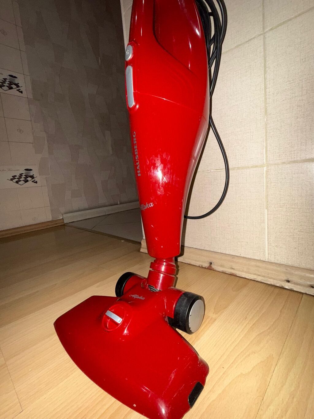 Hausberg Alpha şaquli tozsoran - Rəng: qırmızı - Korpusa inteqrə — Elektronika, Bakı (2)