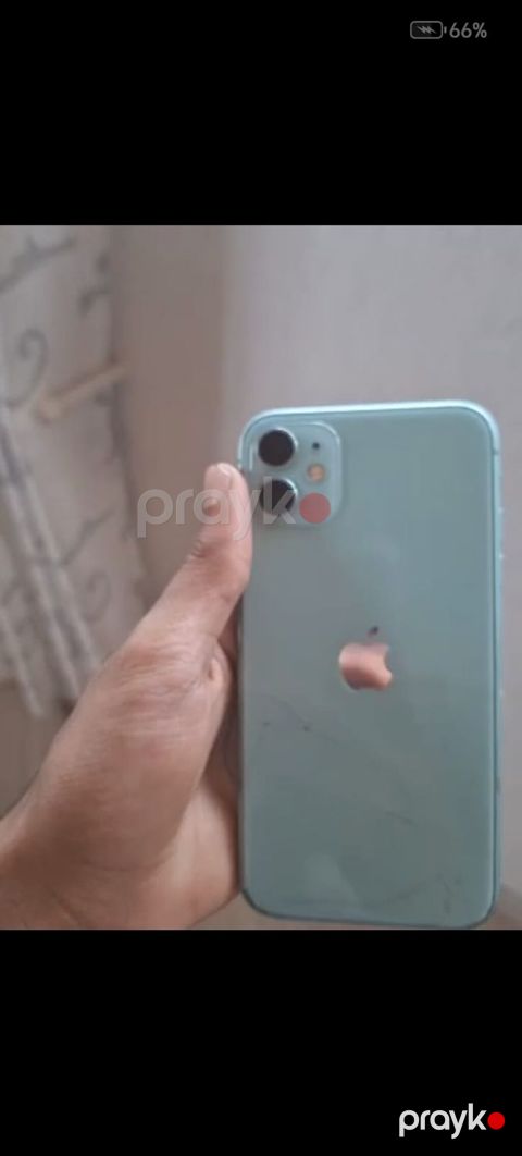IPhone 11, Yaşıl