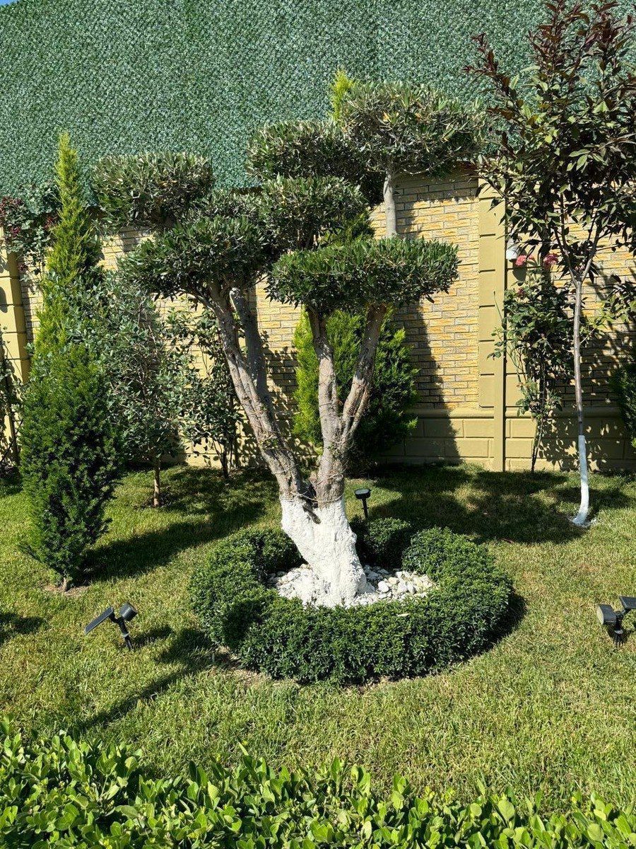 İcarəyə verilir 4 otaqlı həyət evi/bağ evi 300 m² — Ev, villa, Bakı (12)