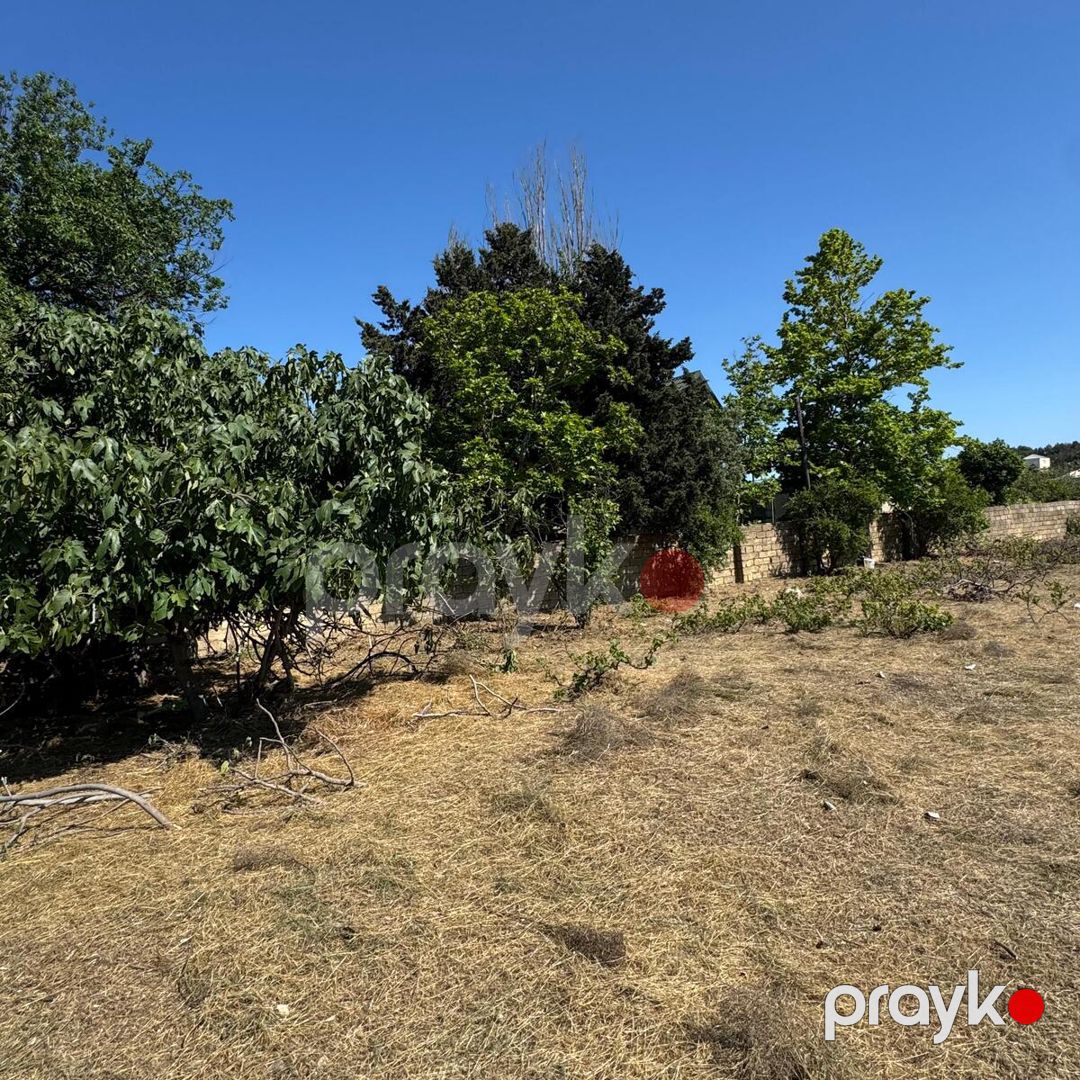 Satılır torpaq 2 sot — Torpaq, Bakı (5)