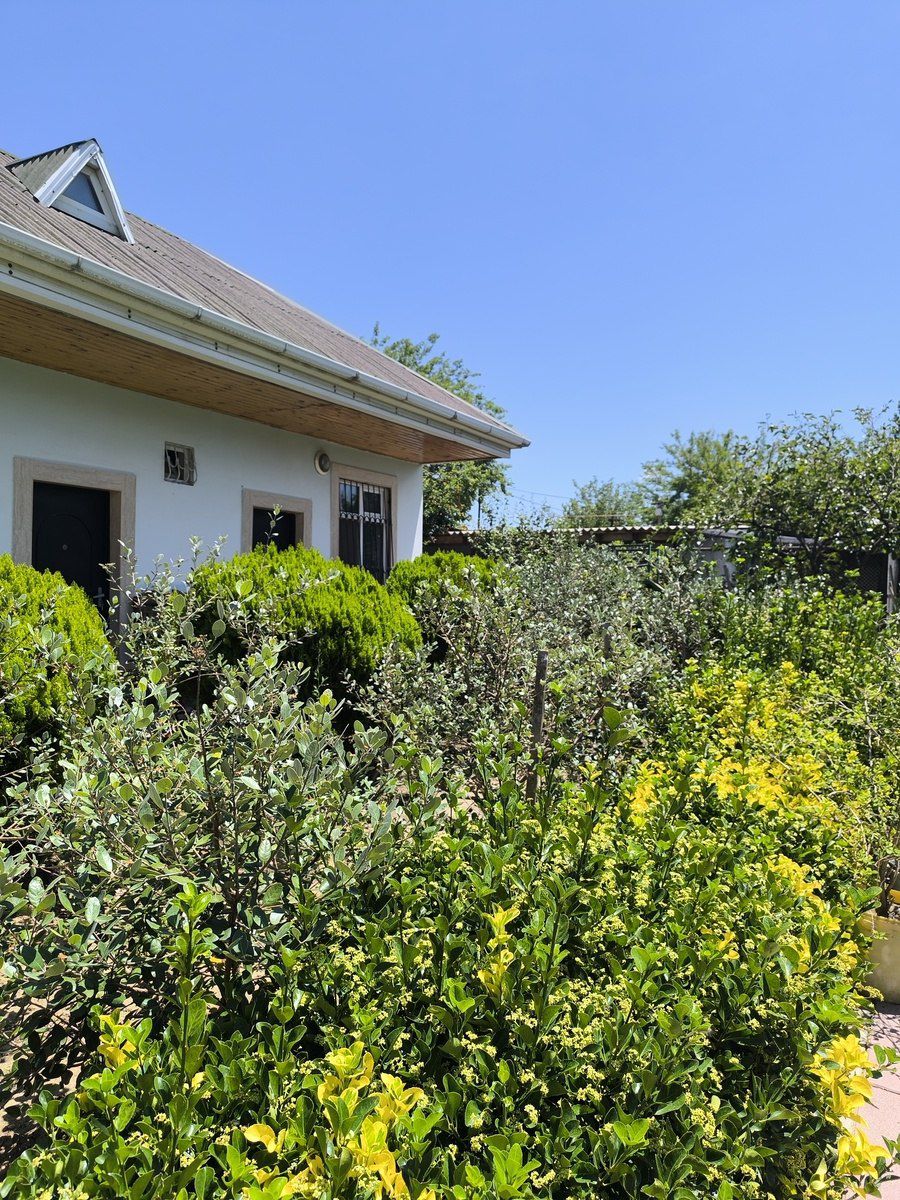 Satılır 2 otaqlı həyət evi/bağ evi 80 m² — Ev, villa, Bakı (2)