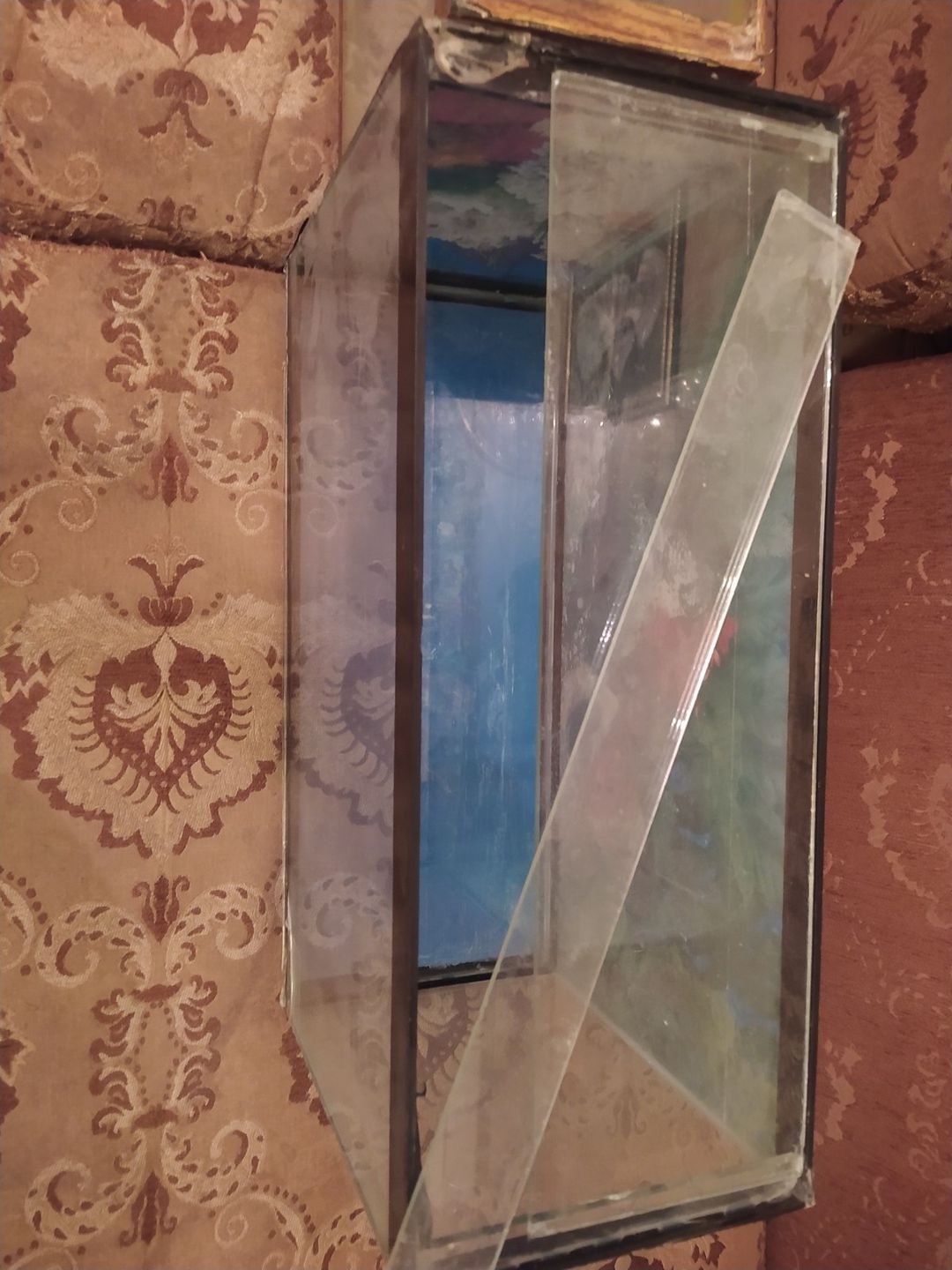 Akvarium — Akvariumlar və balıqlar, Bakı (4)