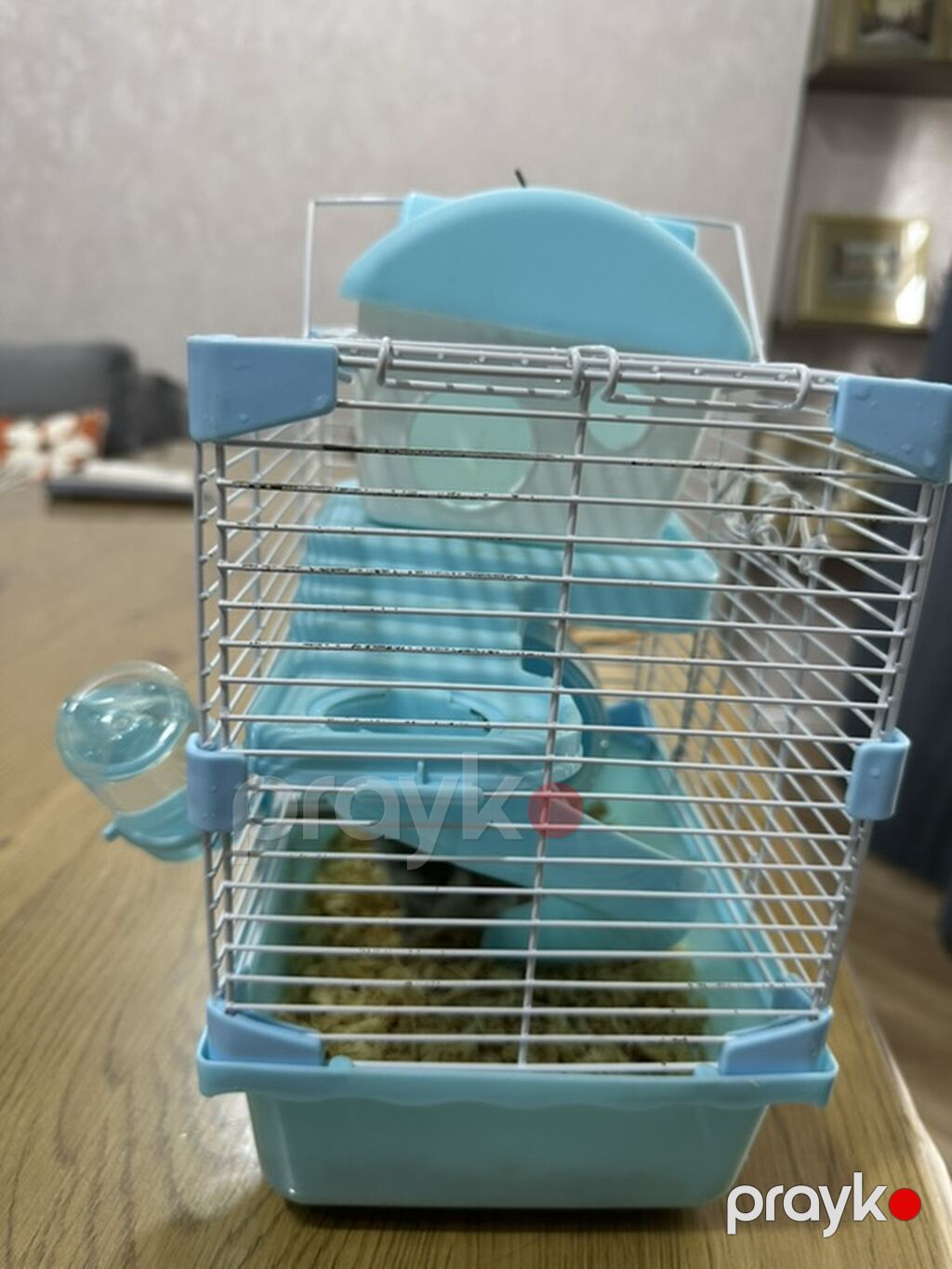 Hamster üçün iki mərtəbəli qəfəs – mavi/ağ Icinde bir eded hemster — Qəfəslər, Bakı (2)