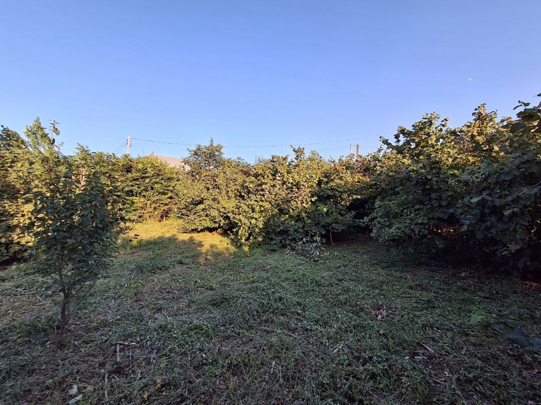 5 sot torpaq sahəsi, Xaçmaz r. — Torpaq, Xaçmaz