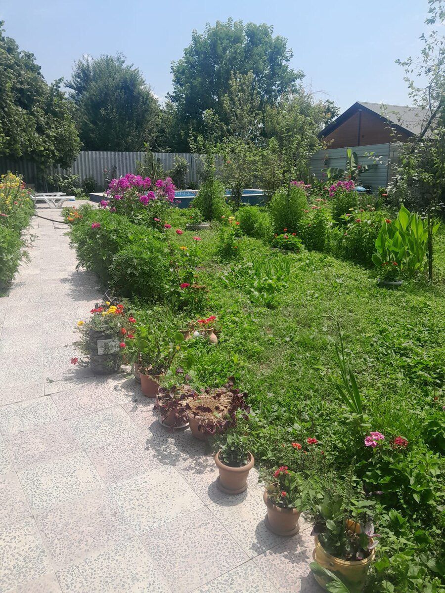 Həyət evi kirayə verilir, İsmayıllı r. — Ev, villa, İsmayıllı (3)