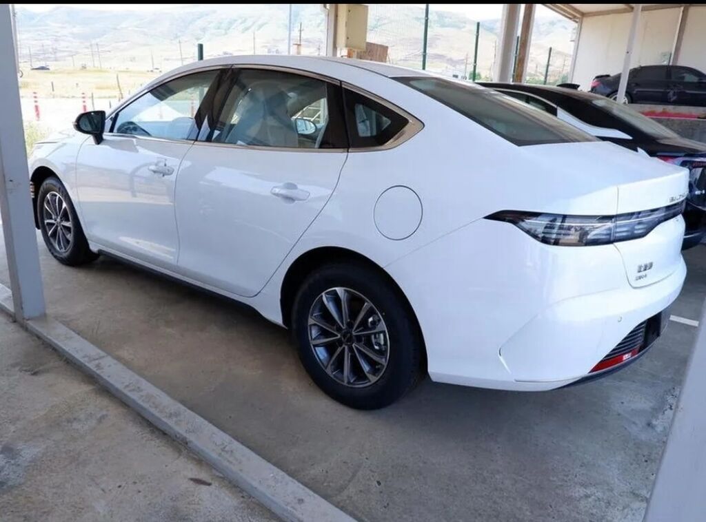 Salam arendaya byd aqua axtariram gunluk 40 manat byd ayda 2 xadnoydan — Avto, Bakı (3)