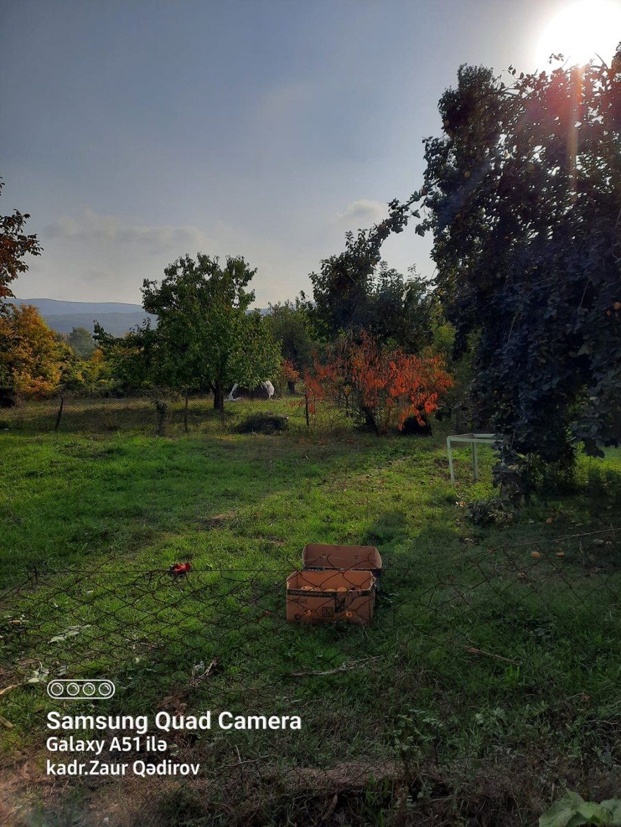 Həyət evi, Şəki küdürlü kəndi — Daşınmaz əmlak, Şəki (8)