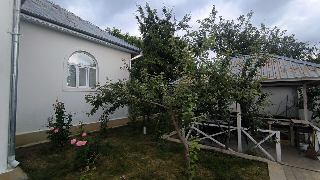 Satılır 2 otaqlı həyət evi/bağ evi 118 m² — Ev, villa, Qəbələ (8)
