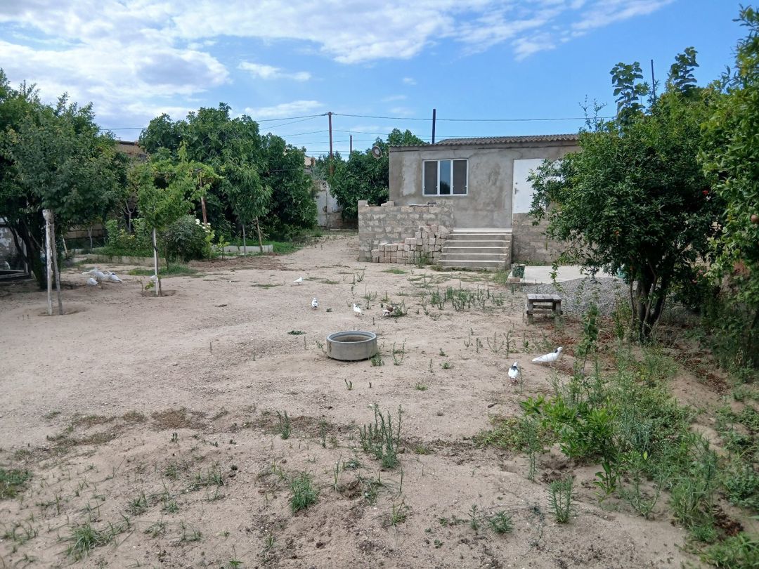 16 sot torpaq sahəsi, Albalı qəs. — Torpaq, Bakı