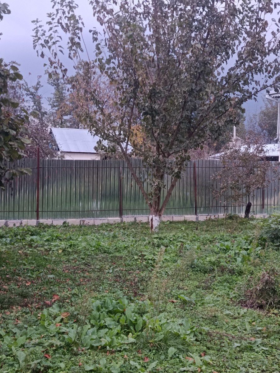 12 sot torpaq sahəsi, İsmayıllı r. — Torpaq, İsmayıllı (4)