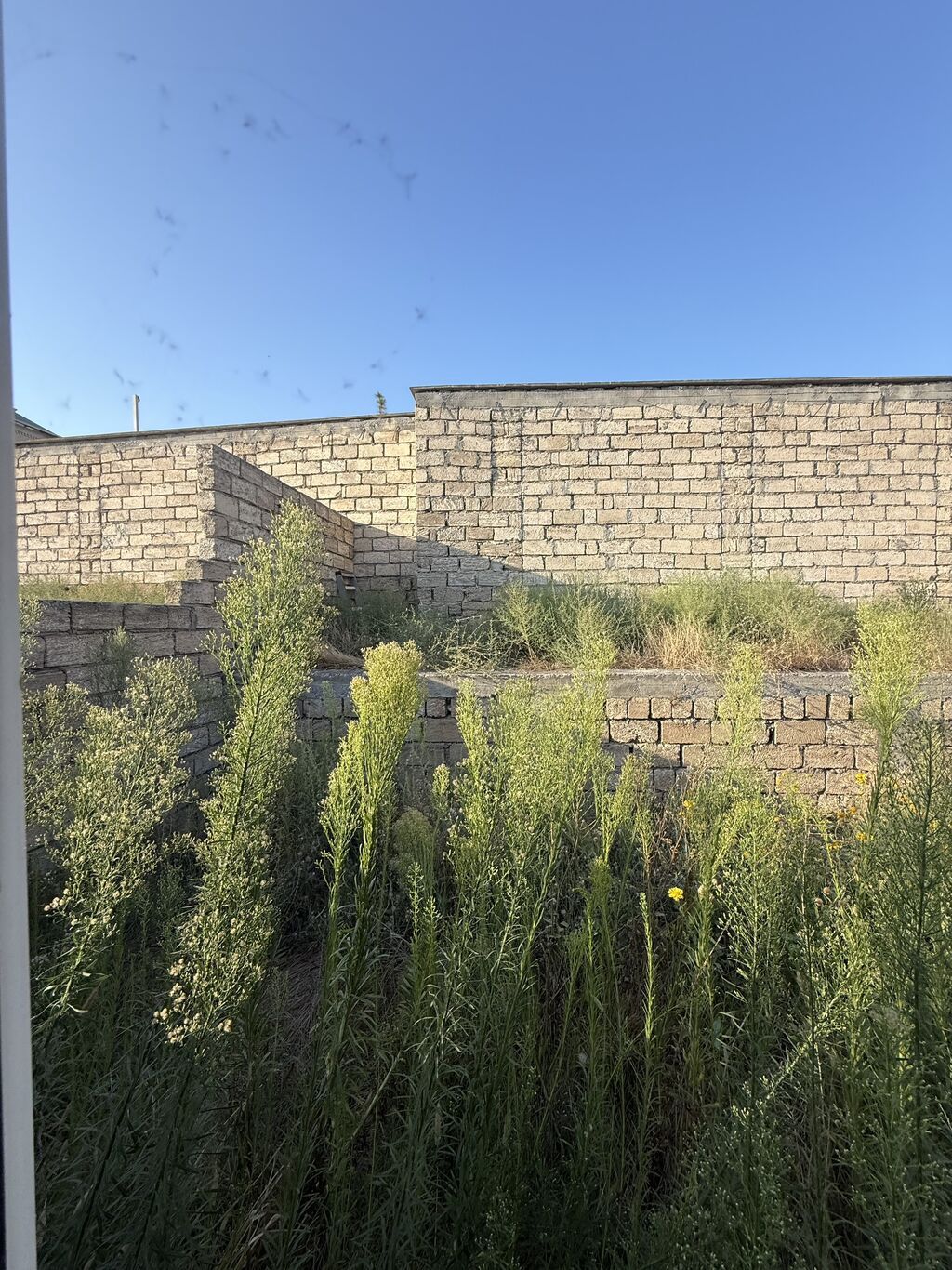3 sot, Tikinti, Kupça (Çıxarış) — Torpaq, Digah (7)