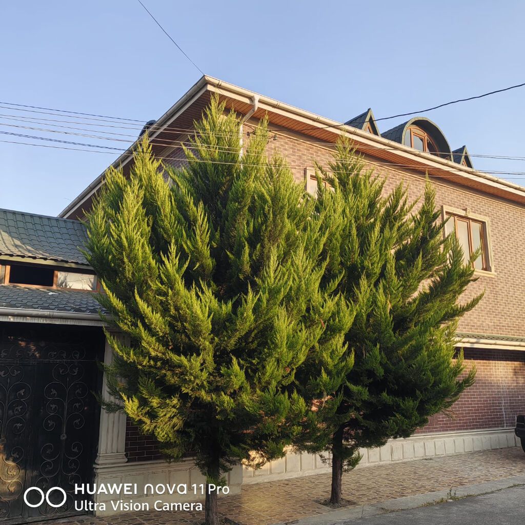 Xaçmaz, 450 kv. m, 7 otaqlı, Kombi, Qaz, İşıq — Daşınmaz əmlak, Xaçmaz (3)