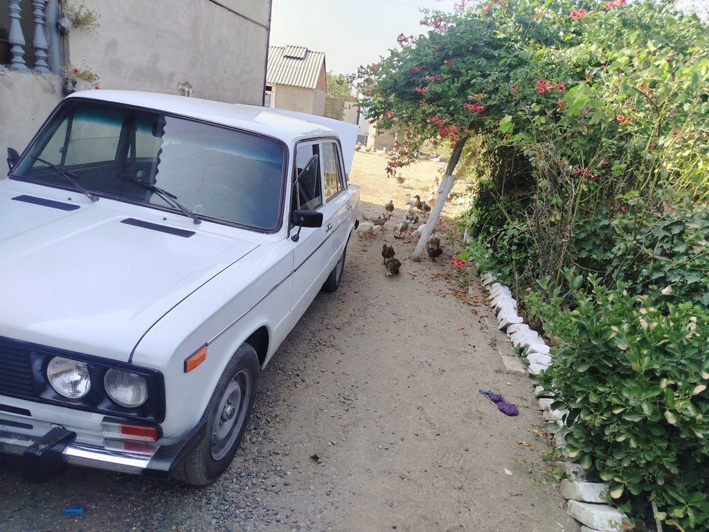LADA (VAZ) 2106, 1.5 L, 1986 il, 100 000 km — Avtomobillər, Masallı (3)
