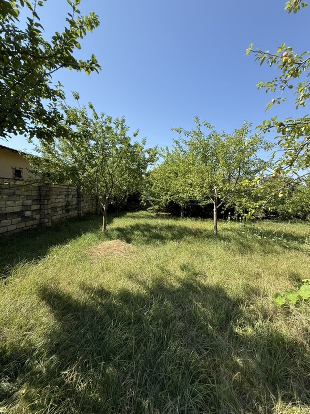 3 sot, Tikinti — Torpaq, İsmayıllı (4)